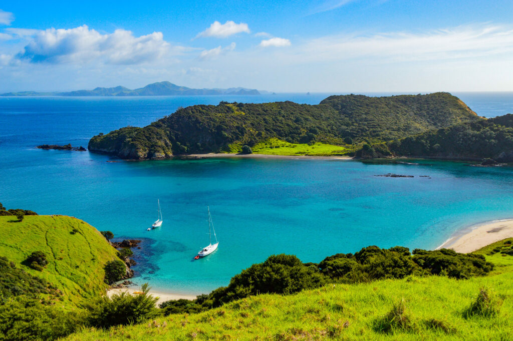 A Day Spent in Paihia, New Zealand - Globetrotting horse riding holidays - image via Shutterstock / Christina Fink