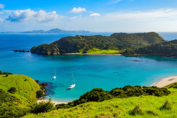 A Day Spent in Paihia, New Zealand - Globetrotting horse riding holidays - image via Shutterstock / Christina Fink