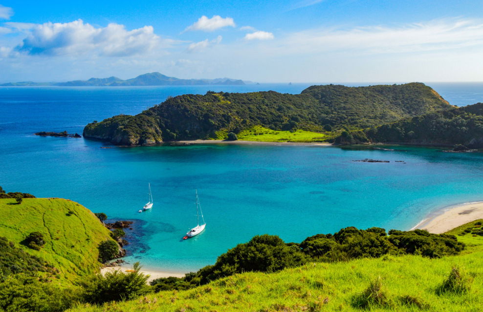 A Day Spent in Paihia, New Zealand - Globetrotting horse riding holidays - image via Shutterstock / Christina Fink