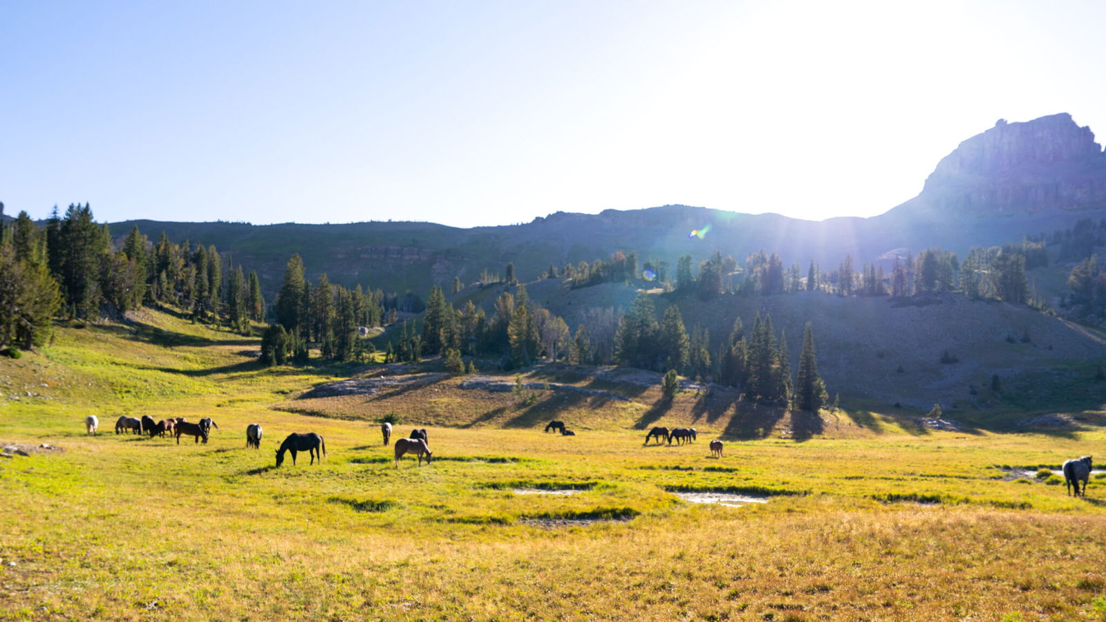 The Grand Tetons Ride, Wyoming, USA - Globetrotting horse riding holidays