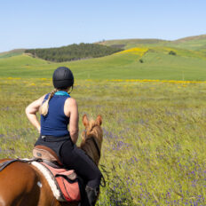 Sicily, Italy - Globetrotting horse riding holidays