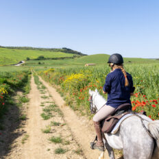 Sicily, Italy - Globetrotting horse riding holidays