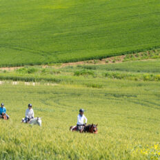Sicily, Italy - Globetrotting horse riding holidays