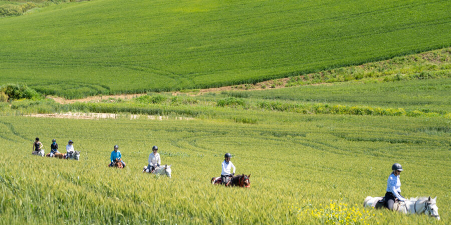 Sicily, Italy - Globetrotting horse riding holidays