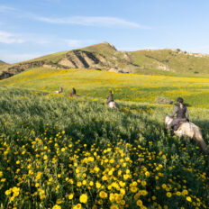 Sicily, Italy - Globetrotting horse riding holidays