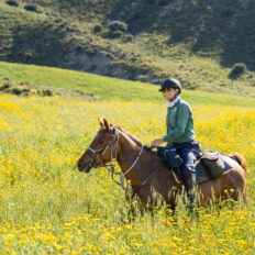 Sicily, Italy - Globetrotting horse riding holidays