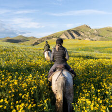 Sicily, Italy - Globetrotting horse riding holidays