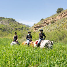 Sicily, Italy - Globetrotting horse riding holidays