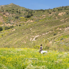 Sicily, Italy - Globetrotting horse riding holidays