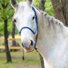 Sicily, Italy - Globetrotting horse riding holidays