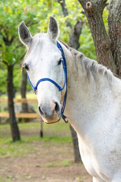 Sicily, Italy - Globetrotting horse riding holidays