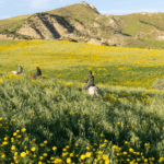Sicily, Italy - Globetrotting horse riding holidays