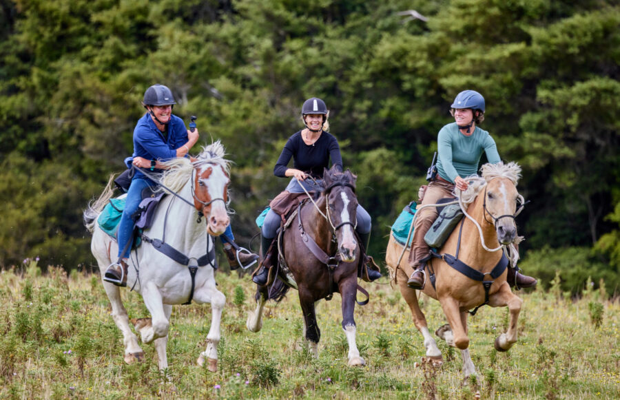 The River Valley Ride, North Island, New Zealand - Globetrotting horse riding holidays