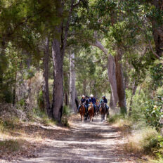 The Margaret River Ride, Western Australia - Globetrotting horse riding holidays