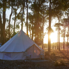 The Margaret River Ride, Western Australia - Globetrotting horse riding holidays