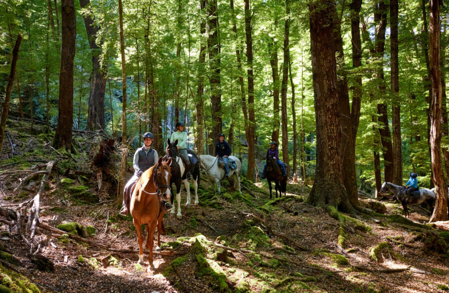 Glenorchy Back Country Ride, South Island, New Zealand - Globetrotting horse riding holidays