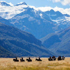 Glenorchy Back Country Ride, South Island, New Zealand - Globetrotting horse riding holidays