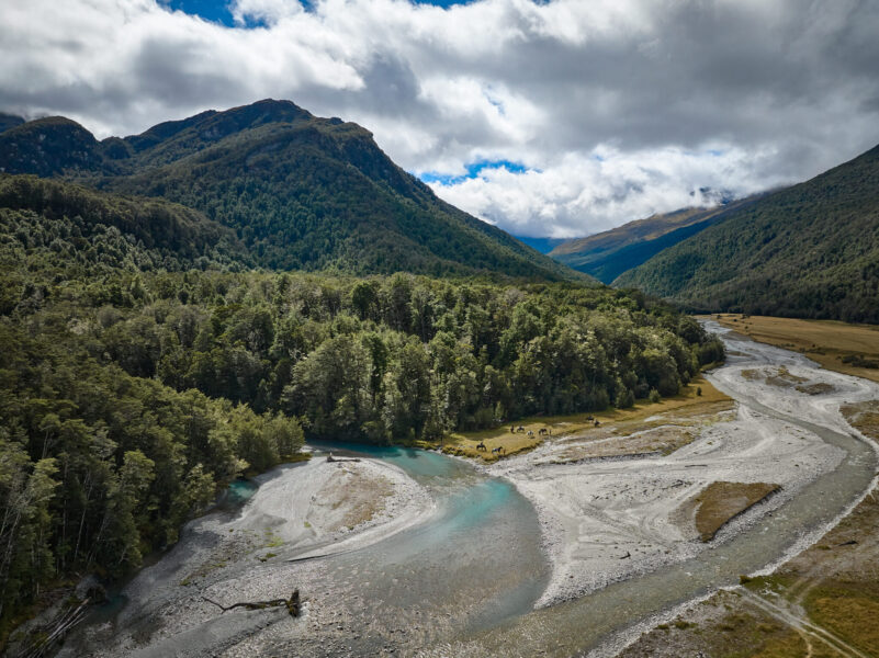 Glenorchy Back Country Ride, South Island, New Zealand - Globetrotting horse riding holidays