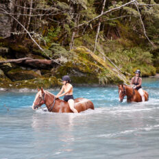 Glenorchy Back Country Ride, South Island, New Zealand - Globetrotting horse riding holidays
