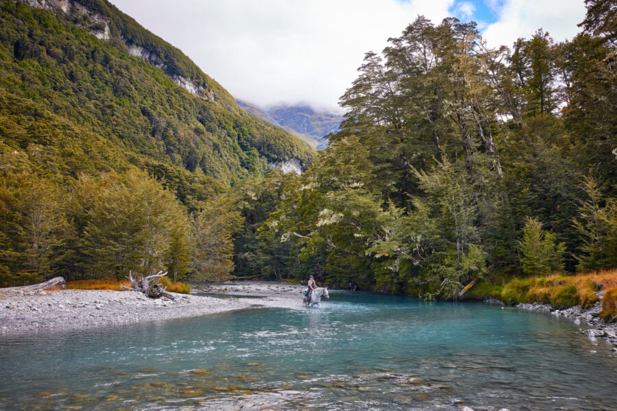 Glenorchy Back Country Ride, South Island, New Zealand - Globetrotting horse riding holidays