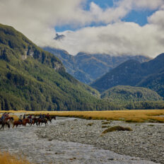 Glenorchy Back Country Ride, South Island, New Zealand - Globetrotting horse riding holidays