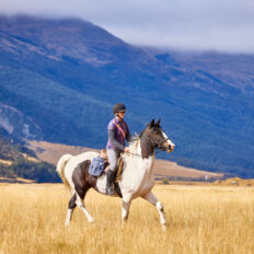 Glenorchy Back Country Ride, South Island, New Zealand - Globetrotting horse riding holidays