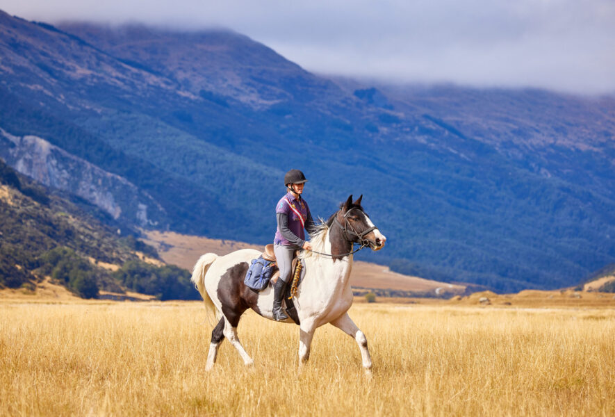Glenorchy Back Country Ride, South Island, New Zealand - Globetrotting horse riding holidays
