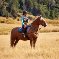 Glenorchy Back Country Ride, South Island, New Zealand - Globetrotting horse riding holidays