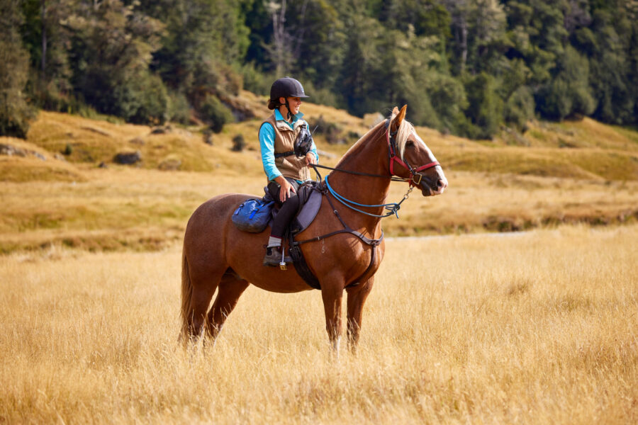 Glenorchy Back Country Ride, South Island, New Zealand - Globetrotting horse riding holidays