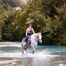 Glenorchy Back Country Ride, South Island, New Zealand - Globetrotting horse riding holidays