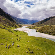 Glenorchy Back Country Ride, South Island, New Zealand - Globetrotting horse riding holidays