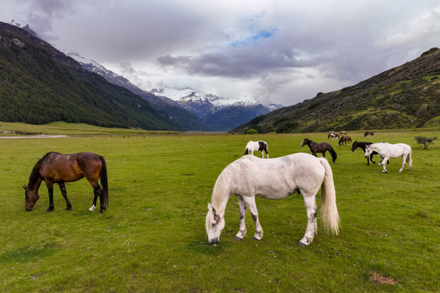 Glenorchy Back Country Ride, South Island, New Zealand - Globetrotting horse riding holidays
