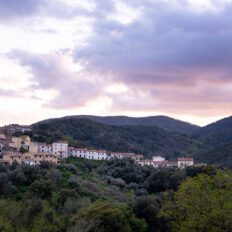 Tuscany, Italy - Globetrotting horse riding holidays