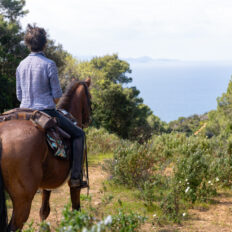 Tuscany, Italy - Globetrotting horse riding holidays