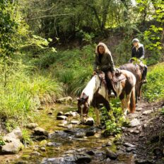 Tuscany, Italy - Globetrotting horse riding holidays
