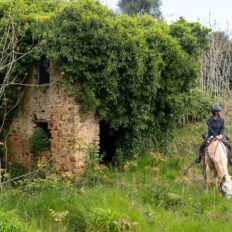 Tuscany, Italy - Globetrotting horse riding holidays