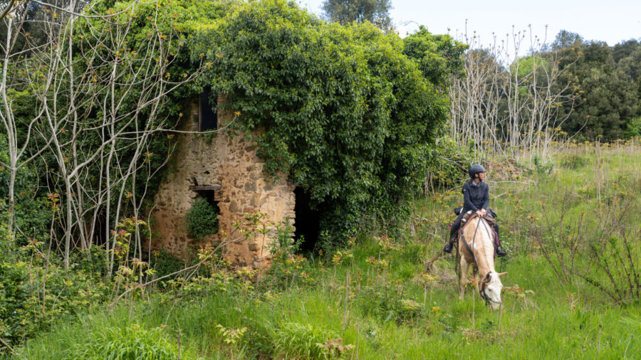 Tuscany, Italy - Globetrotting horse riding holidays