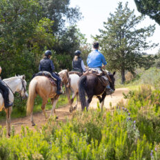 Tuscany, Italy - Globetrotting horse riding holidays