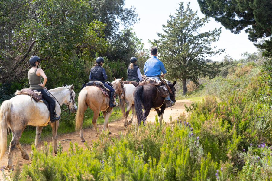 Tuscany, Italy - Globetrotting horse riding holidays