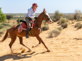 The Marwari Ride, Rajasthan, India - Globetrotting horse riding holidays