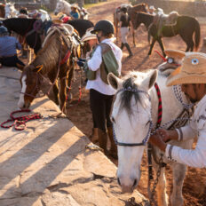 El Rancho Ride, Mexico - Globetrotting horse riding holidays