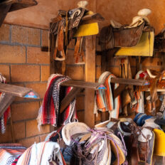 El Rancho Ride, Mexico - Globetrotting horse riding holidays