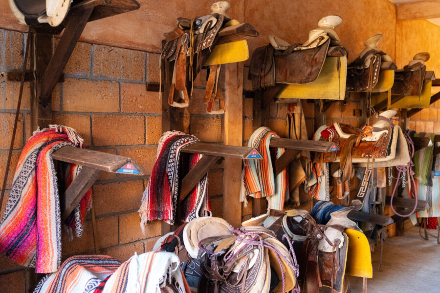 El Rancho Ride, Mexico - Globetrotting horse riding holidays