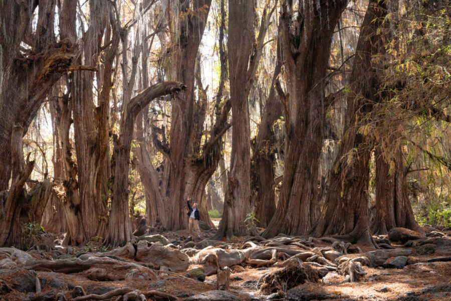 El Rancho Ride, Mexico - Globetrotting horse riding holidays