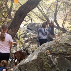 El Rancho Ride, Mexico - Globetrotting horse riding holidays