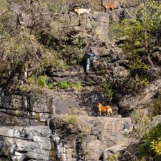 El Rancho Ride, Mexico - Globetrotting horse riding holidays