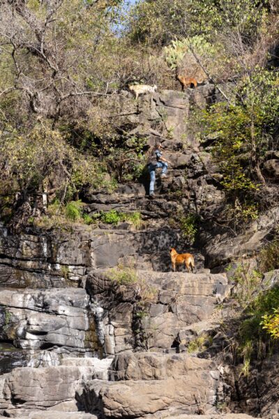 El Rancho Ride, Mexico - Globetrotting horse riding holidays