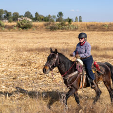 El Rancho Ride, Mexico - Globetrotting horse riding holidays