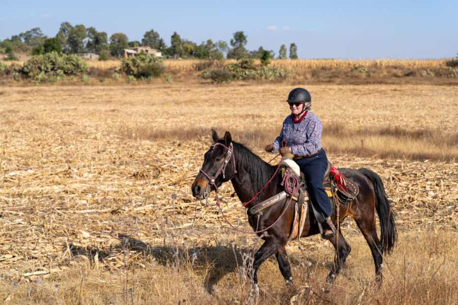 El Rancho Ride, Mexico - Globetrotting horse riding holidays