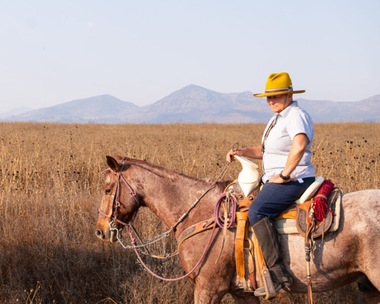 El Rancho Ride, Mexico - Globetrotting horse riding holidays